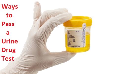 putting eye drops in urine to pass drug test|Pass A Drug Test With Visine .